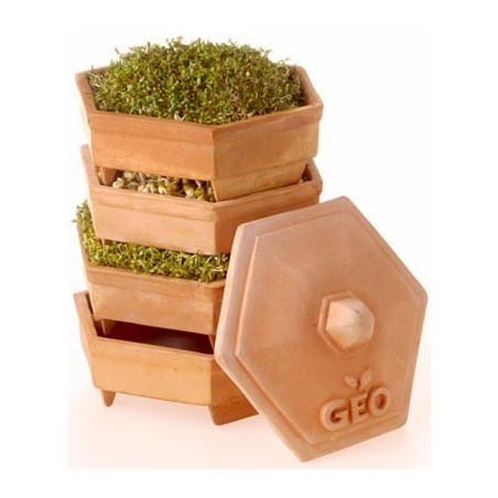 GEO TERRADISIENA Germinator din Teracota