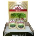 GeoGrass Kit pentru creșterea ierbii de grâu
