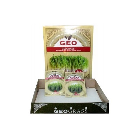 GeoGrass Kit pentru creșterea ierbii de grâu
