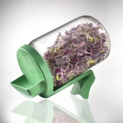 Germline Germinator tip borcan cu protecție la scurgerea apei, BPA free