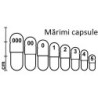 Capsule vegetale 00 x1000