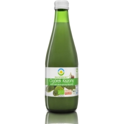 Suc de castraveti lactofermentați, bio, 300ml, Biofood