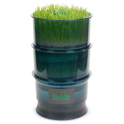 Fresh Life Etaj suplimentar